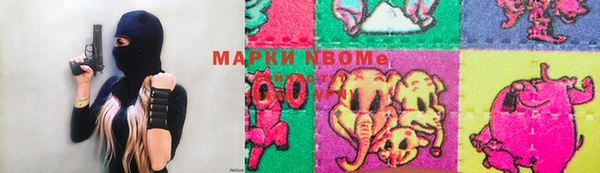 хмурый Белокуриха