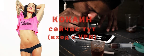 2c-b Богородицк