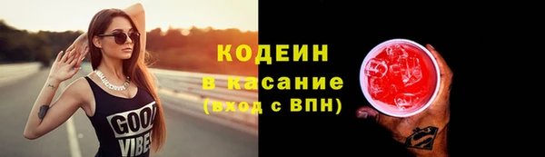 хмурый Белокуриха
