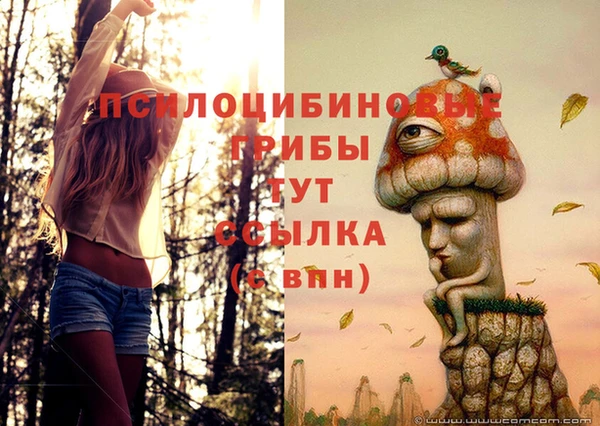 экстази Белоозёрский