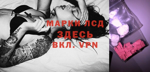 хмурый Белокуриха