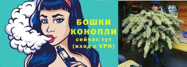хмурый Белокуриха