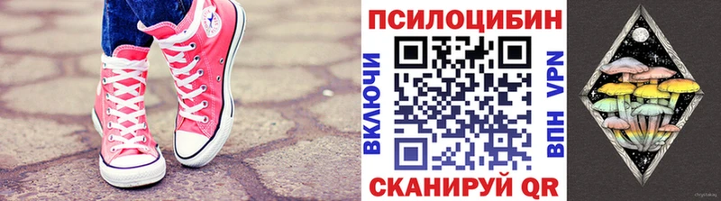 блэк спрут как зайти Великий Устюг Галлюциногенные грибы Psilocybine cubensis