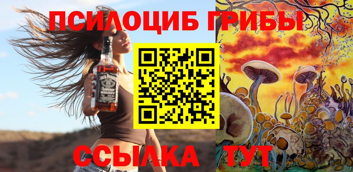Галлюциногенные грибы MAGIC MUSHROOMS Великий Устюг