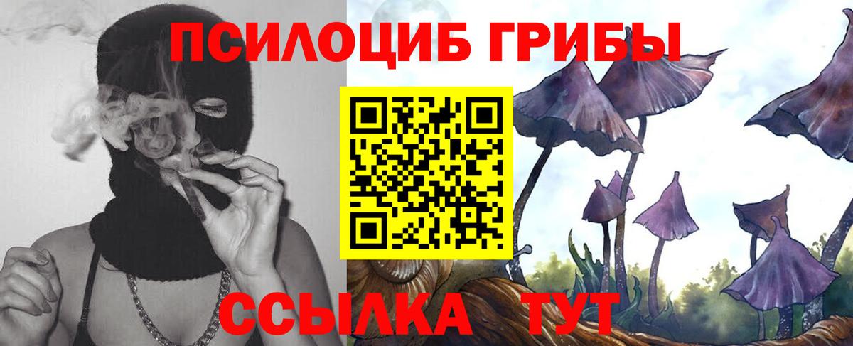 Галлюциногенные грибы мицелий  Галлюциногенные грибы Psilocybine cubensis  Великий Устюг  Вход с VPN 